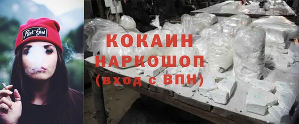 стафф Бородино