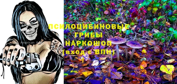 стафф Бородино