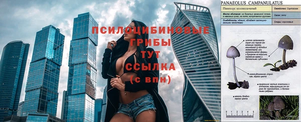 стафф Бородино