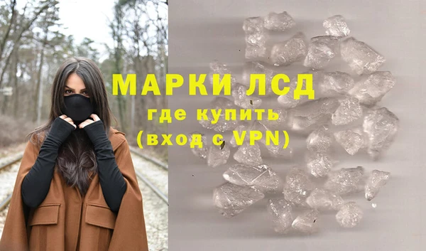 стафф Бородино
