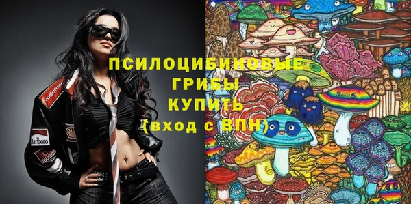 стафф Бородино