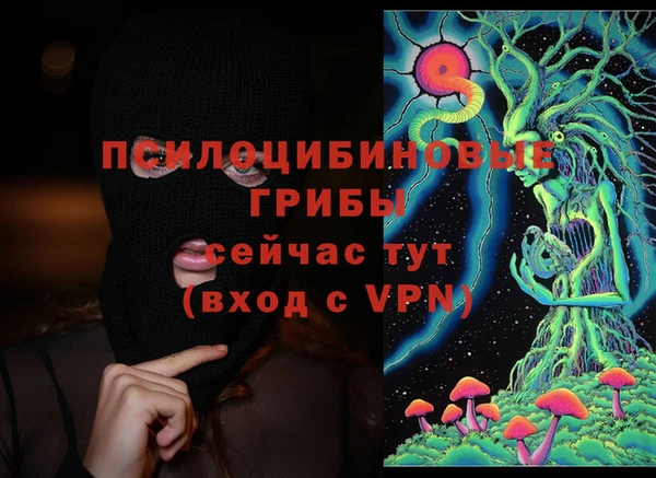 стафф Бородино