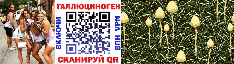 кракен ONION  где купить наркоту  Гороховец  Псилоцибиновые грибы ЛСД 